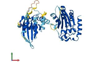 Protein Structure (PS) image for Apolipoprotein B mRNA Editing Enzyme, Catalytic Polypeptide-Like 3D (APOBEC3D) (AA 1-386) protein (His tag) (ABIN7551788)