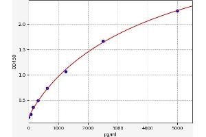 Typical standard curve (CXORF61 ELISA Kit)