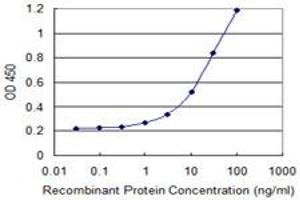 SH2D1B antibody  (AA 54-132)