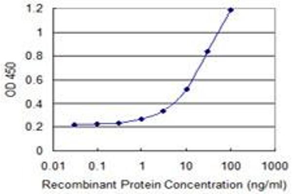 SH2D1B antibody  (AA 54-132)