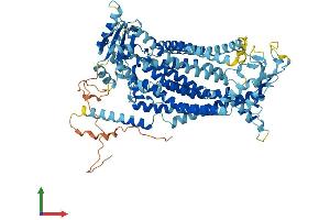 AlphaFold protein structure predicition of Human Recombinant ANO9 Protein, UniprotID A1A5B4