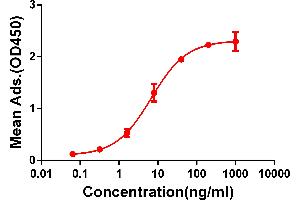 ELISA image for anti-CD28 (CD28) (AA 19-152) antibody (ABIN6964060)