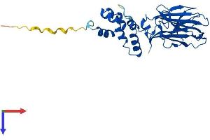 AlphaFold protein structure predicition of Mouse Recombinant Fbxo27 Protein, UniprotID Q6DIA9