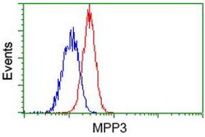 Flow cytometric Analysis of Jurkat cells, using anti-MPP3 antibody (ABIN2453326), (Red), compared to a nonspecific negative control antibody (ABIN2453326), (Blue). (MPP3 antibody)