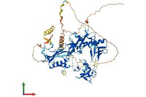 AlphaFold protein structure predicition of Mouse Recombinant Dtx1 Protein, UniprotID Q61010