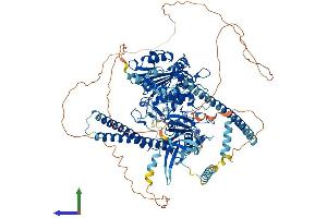 AlphaFold protein structure predicition of Mouse Recombinant Morc2a Protein, UniprotID Q69ZX6 (Microrchidia 2A Protein (MORC2A) (AA 1-1030) (His tag))