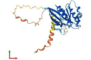 AlphaFold protein structure predicition of Human Recombinant ARL10 Protein, UniprotID Q8N8L6