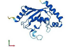 Protein Structure (PS) image for Ubiquitin-Conjugating Enzyme E2G 1 (Ube2g1) (AA 1-170) protein (His tag) (ABIN7544946)