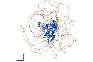 Protein Structure (PS) image for Homeodomain Interacting Protein Kinase 2 (HIPK2) (AA 1-1198) protein (His tag) (ABIN7554115)