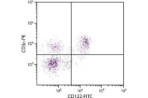 BALB/c mouse splenocytes were stained with Rat Anti-Mouse CD112-FITC. (IL2 Receptor beta antibody  (Biotin))