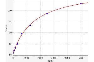 Typical standard curve (IKKi/IKKe ELISA Kit)