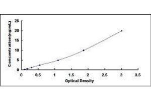 Occludin ELISA Kit