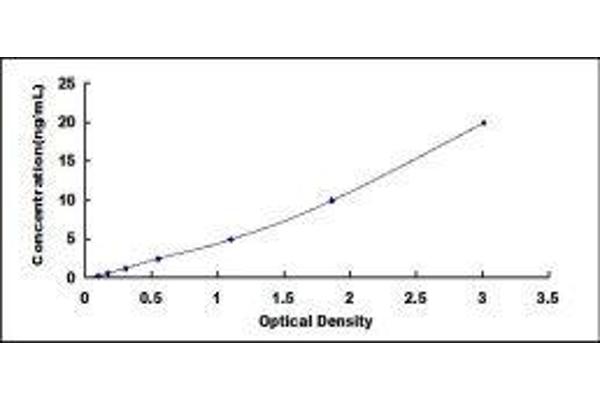 Occludin ELISA Kit