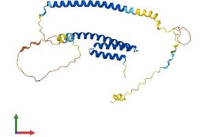 Protein Structure (PS) image for Nuclear Receptor Binding Factor 2 (NRBF2) (AA 1-287) protein (His tag) (ABIN7564735)