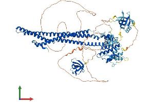 AlphaFold protein structure predicition of Human Recombinant ARHGAP42 Protein, UniprotID A6NI28 (ARHGAP42 Protein (AA 1-874) (His tag))