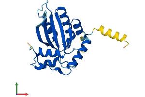 AlphaFold protein structure predicition of Mouse Recombinant Aicda Protein, UniprotID Q9WVE0