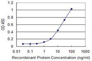 Detection limit for recombinant GST tagged RUNDC3A is 0. (RUNDC3A antibody  (AA 1-405))