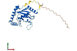 AlphaFold protein structure predicition of Human Recombinant CDC34 Protein, UniprotID P49427 (CDC34 Protein (AA 1-236) (His tag))