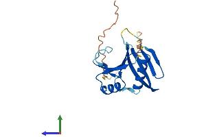 Protein Structure (PS) image for Ornithine Decarboxylase Antizyme 2 (OAZ2) (AA 1-189) protein (His tag) (ABIN7550230)