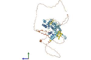 AlphaFold protein structure predicition of Human Recombinant TAF6 Protein, UniprotID P49848