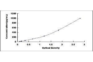 KIT Ligand ELISA Kit