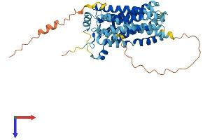 Solute Carrier Family 17 (Anion/Sugar Transporter), Member 3 (SLC17A3) (AA 1-420) protein (His tag)