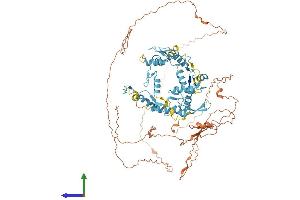 AlphaFold protein structure predicition of Human Recombinant ZFY Protein, UniprotID P08048