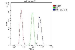 Flow Cytometry analysis of U20S cells using anti- BRG1 antibody (ABIN7602029).