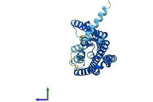 AlphaFold protein structure predicition of Human Recombinant OR10A7 Protein, UniprotID Q8NGE5 (OR10A7 Protein (AA 1-316) (His tag))