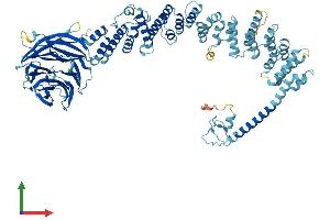 AlphaFold protein structure predicition of Mouse Recombinant Tgfbrap1 Protein, UniprotID Q3UR70 (TGFBRAP1 Protein (AA 1-860) (His tag))