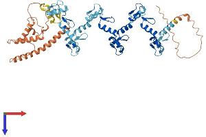 Protein Structure (PS) image for Zinc Finger Protein 714 (ZNF714) (AA 1-554) protein (His tag) (ABIN7545392)
