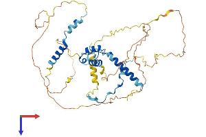 NUSAP1 Protein (AA 1-427) (His tag)