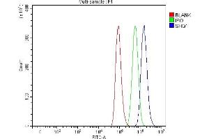 anti-SHQ1 Homolog (SHQ1) (AA 1-277) antibody