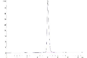 Size-exclusion chromatography-High Pressure Liquid Chromatography (SEC-HPLC) image for Leukocyte Immunoglobulin-Like Receptor, Subfamily B (With TM and ITIM Domains), Member 1 (LILRB1) (AA 24-458) protein (His-Avi Tag) (ABIN7275185)