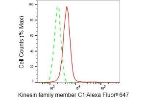 Flow cytometric analysis of Kinesin family member C1 expression in HepG2 cells using Kinesin family member C1 antibody (ABIN7799209), 1:2,000).