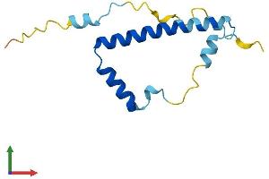 AlphaFold protein structure predicition of Mouse Recombinant Lin52 Protein, UniprotID Q8CD94