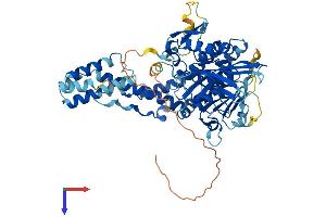 Family with Sequence Similarity 116, Member A (FAM116A) (AA 1-608) protein (His tag)