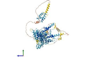AlphaFold protein structure predicition of Mouse Recombinant Nvl Protein, UniprotID Q9DBY8 (NVL Protein (AA 1-855) (His tag))