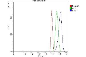 Flow Cytometry analysis of U87 cells using anti-IFI16 antibody (ABIN7600374). (IFI16 antibody  (AA 183-743))
