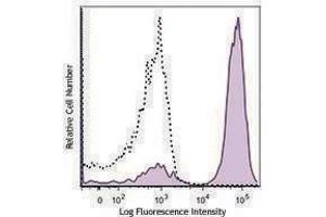 Flow Cytometry (FACS) image for Rat anti-Mouse Ig (Light Chain) antibody (PE) (ABIN2667181) (Rat anti-Mouse Ig (Light Chain) Antibody (PE))