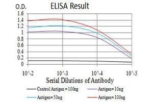Black line: Control Antigen (100 ng),Purple line: Antigen (10 ng), Blue line: Antigen (50 ng), Red line:Antigen (100 ng) (IL28A antibody  (AA 1-200))