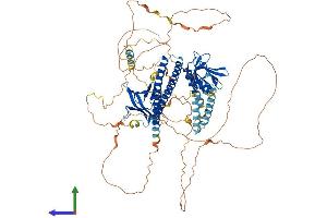 Protein Structure (PS) image for Actin Filament Associated Protein 1-Like 2 (AFAP1L2) (AA 1-818) protein (His tag) (ABIN7552037)