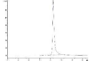Size-exclusion chromatography-High Pressure Liquid Chromatography (SEC-HPLC) image for Metalloproteinase Inhibitor 2 (TIMP2) (AA 27-220) protein (His tag) (ABIN7275737)
