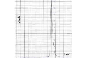 Image no. 2 for anti-Fc Fragment of IgE Receptor Ia (FCER1A) antibody (ABIN1558257) (Fc epsilon RI/FCER1A antibody)