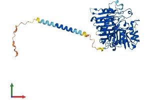 AlphaFold protein structure predicition of Mouse Recombinant Pld3 Protein, UniprotID O35405 (PLD3 Protein (AA 1-488) (His tag))