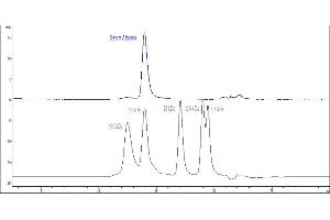 The purity of Human Serum Albumin, His Tag (ABIN2181228) was greater than 90 % as determined by .