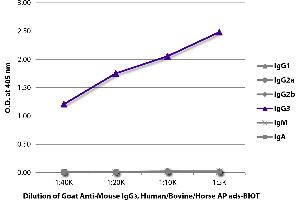 ELISA plate was coated with purified mouse IgG1, IgG2a, IgG2b, IgG3, IgM, and IgA.