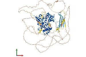 AlphaFold protein structure predicition of Mouse Recombinant Epb41l3 Protein, UniprotID Q9WV92