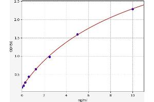 ANTXR1 ELISA Kit