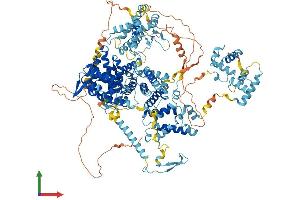 AlphaFold protein structure predicition of Human Recombinant TIMELESS Protein, UniprotID Q9UNS1 (TIMELESS Protein (AA 1-1208) (His tag))